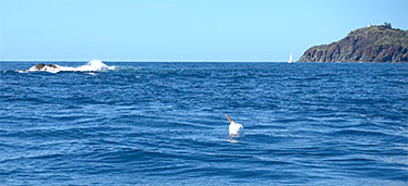 Image of range testing equipment deployed as can be seen with the buoy in the foreground.