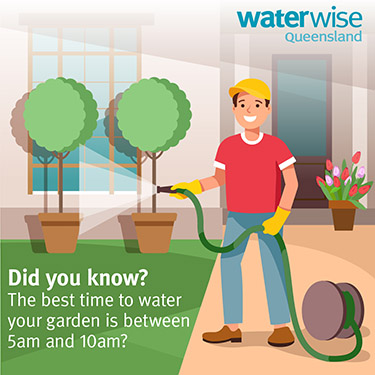 Illustration of a man in a red shirt watering the garden with a hose. The text on the graphic reads: Did you know? The best time to water your garden is between 5am and 10am